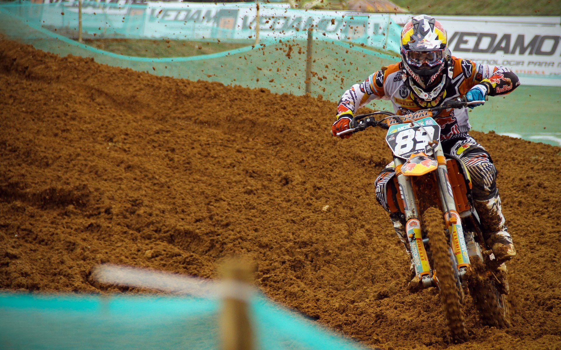 极限运动：滑板与BMX赛场年轻选手表现抢眼，极限滑板冠军